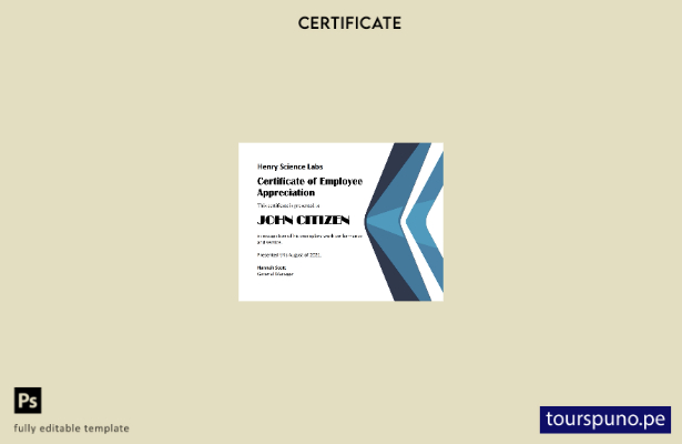 listo para imprimir Plantilla de versión del certificado de agradecimiento a los